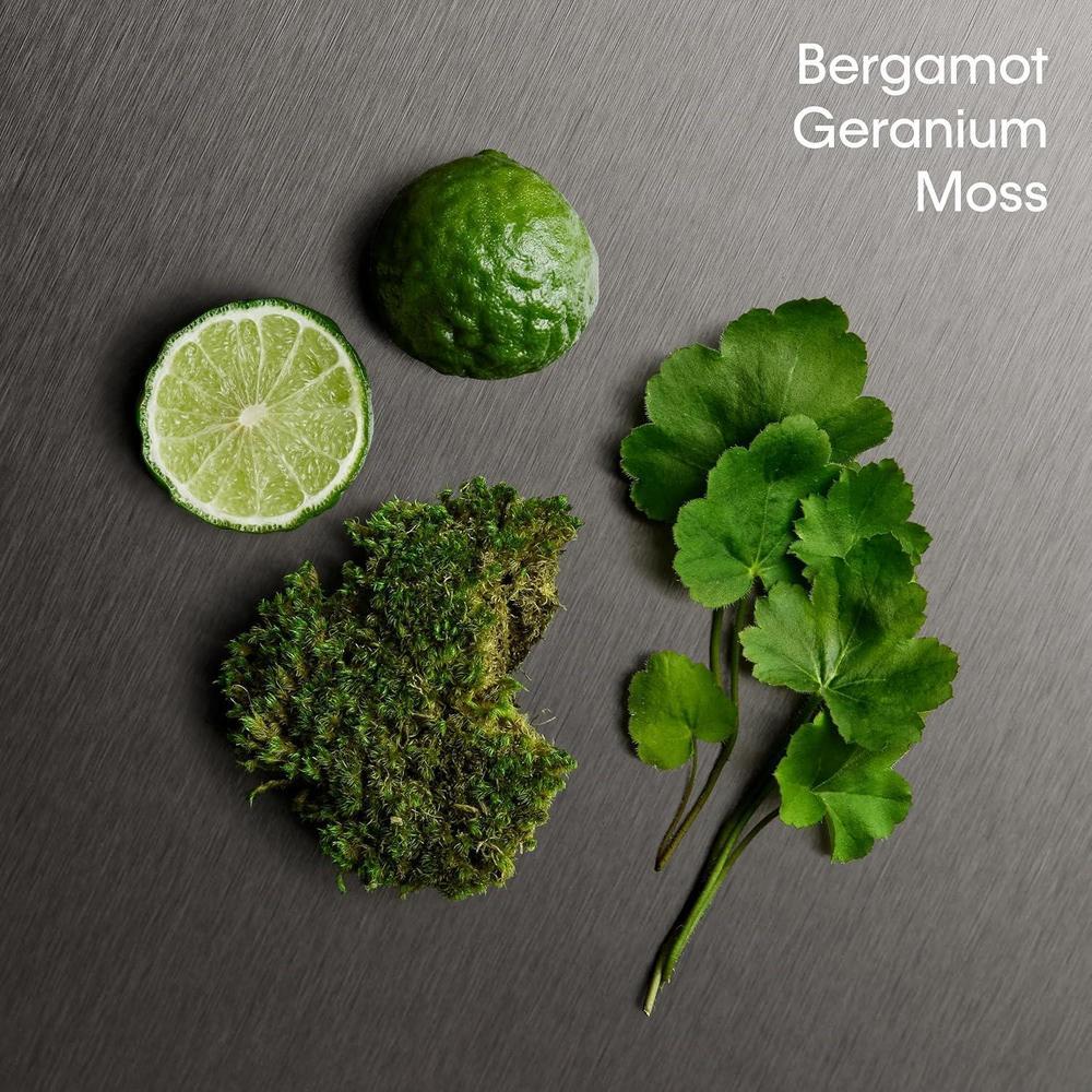 Aromatic Fougère Eau De Toilette