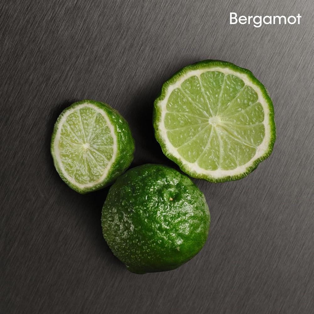 Aromatic Fougère Eau De Toilette