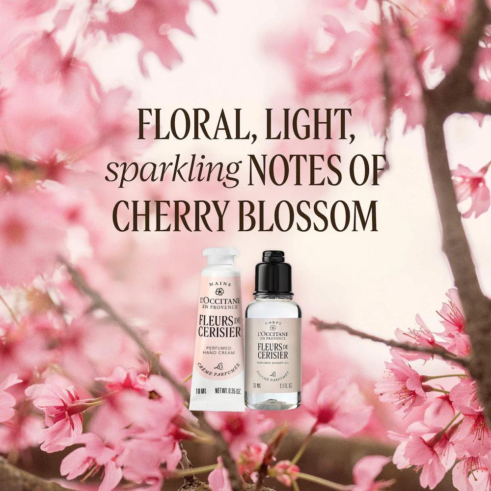 Festive Crackers Gift Set