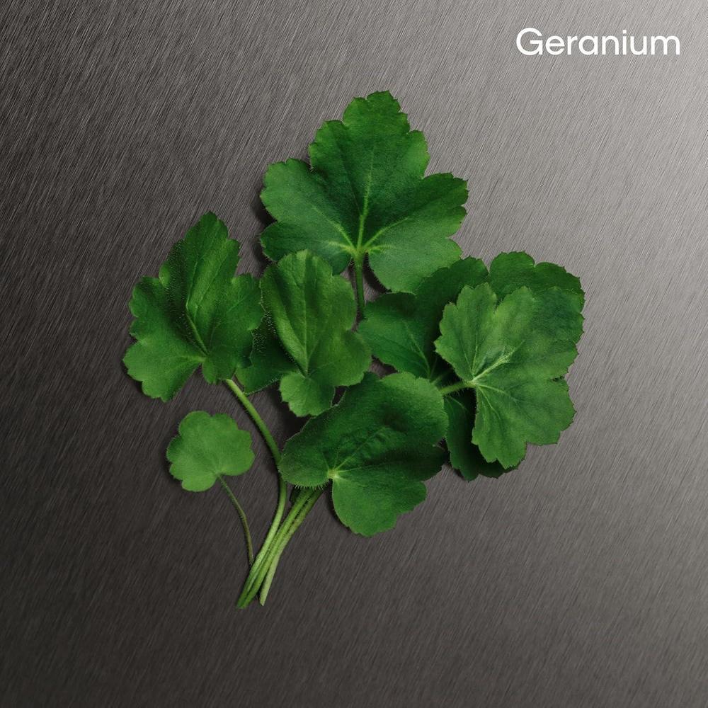 Aromatic Fougère Eau De Toilette