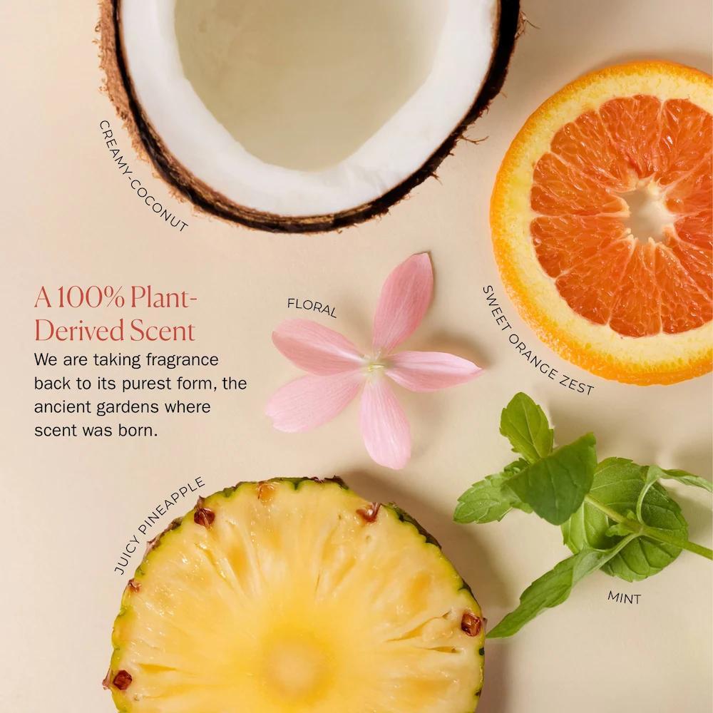 Weightless Hydrating Shampoo
