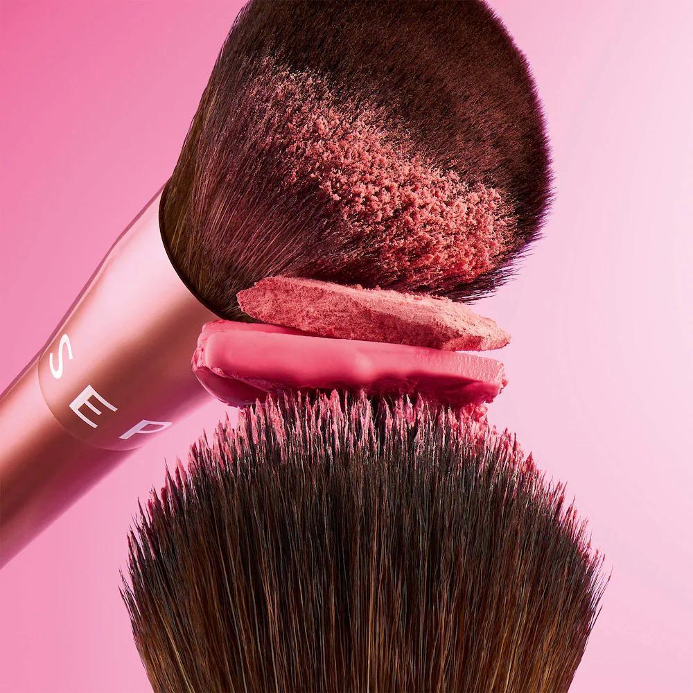 Perfectly Blushed Makeup Blush and Brush Set